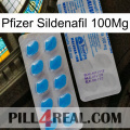 Pfizer Sildenafil 100Mg new15